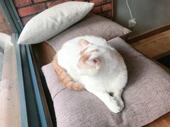 -B.O.M波姆烘焙(凤凰街店)