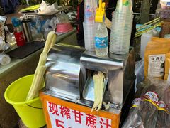 -西双版纳傣族园