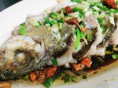 -宾湖农庄·农场特色(太湖龙之梦店)