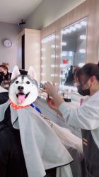 -眉毛先生MrBrow修眉染眉化妆