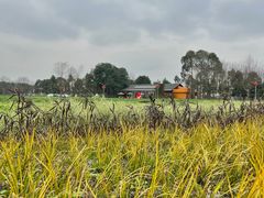 -中国天府农业博览园