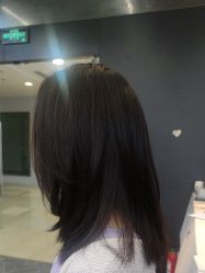 -藤野造型