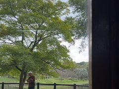 -绿荫坊餐厅(共青森林公园店)