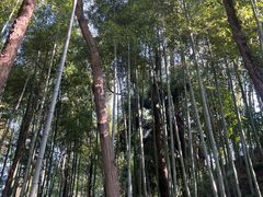 -南园(太仓市)