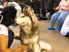 -TrueLove @ Neverland (Husky Cafe)