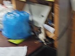 -故乡缘·香格里拉山庄(冷竹路店)