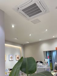 -洗脸猫·洗脸吧