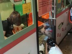 -猫咪博物馆(顶澳仔猫街店)