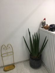 点击看大图 -苗方清颜·祛痘皮肤管理