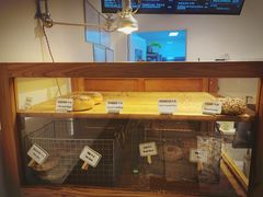 -Catch Bagel(芳草地店)