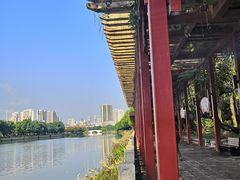 -光明港公园