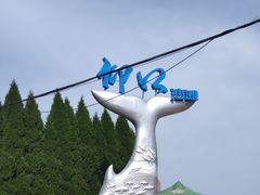 -仰口沙滩
