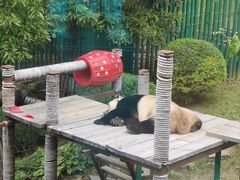 -大连森林动物园