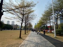 -海心沙亚运公园
