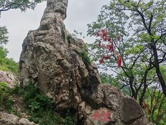 -涂山风景区