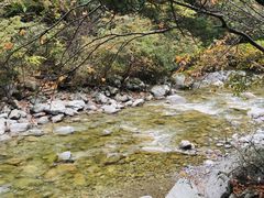 -青峰峡国家森林公园