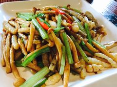 -顺德了能馆(虎门店)