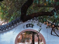 -深圳国际园林花卉博览园