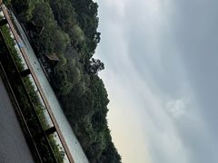 -广州长隆野生动物世界