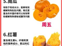 -泰洋动物医院·神经专科·磁共振·CT(天河公园总院)