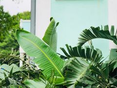 -龙环葡韵住宅式博物馆