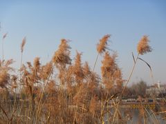 -永定河休闲森林公园
