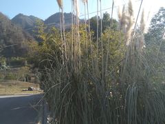 -长安文化生态公园