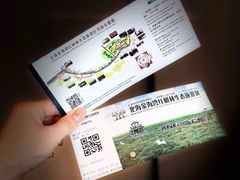 -北海金海湾红树林生态旅游区