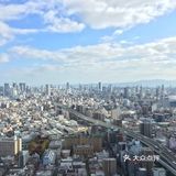 深秋 有点冷 傍晚冻的很
