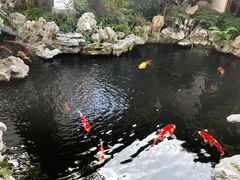 -鲤院·新中式美学·庭院餐厅(夫子庙店)
