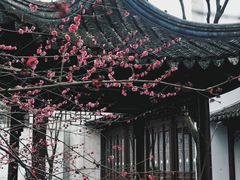 -秋霞圃