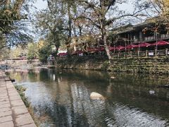 -雅安上里古镇