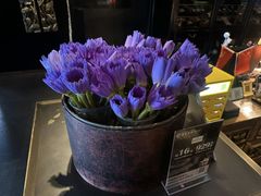 -莲西餐(曲江店)