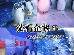 -郑州银基冰雪世界
