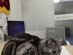 -仁普宠物诊所(住友昌盛新苑店)