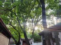 -北京植物园南门售票处