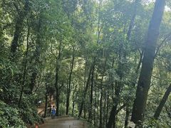 -青城山