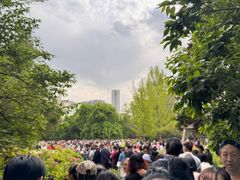 -迎泽公园