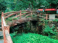 -藏龙百瀑风景区