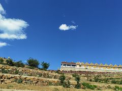 -密云玫瑰情园