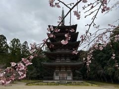 -醍醐寺