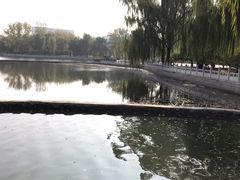 -莲花池公园