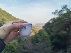 -韬光茶庵