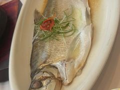 -聚鑫阁江浙菜·非遗传承技艺(闵行交大店)