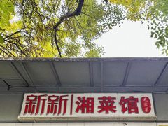 -新新湘菜馆(新中街二条店)