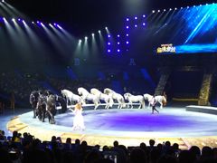 -珠海横琴长隆《卡卡虎奇遇记》