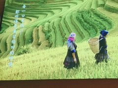 -云味馆·云南菜·云南米线(沙井华润店)