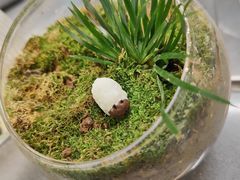 -一朵菌·野生菌探索家火锅(南亚店)