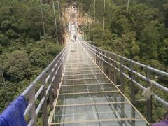 -九龙江国家森林公园