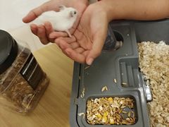 -幸时咖啡简餐